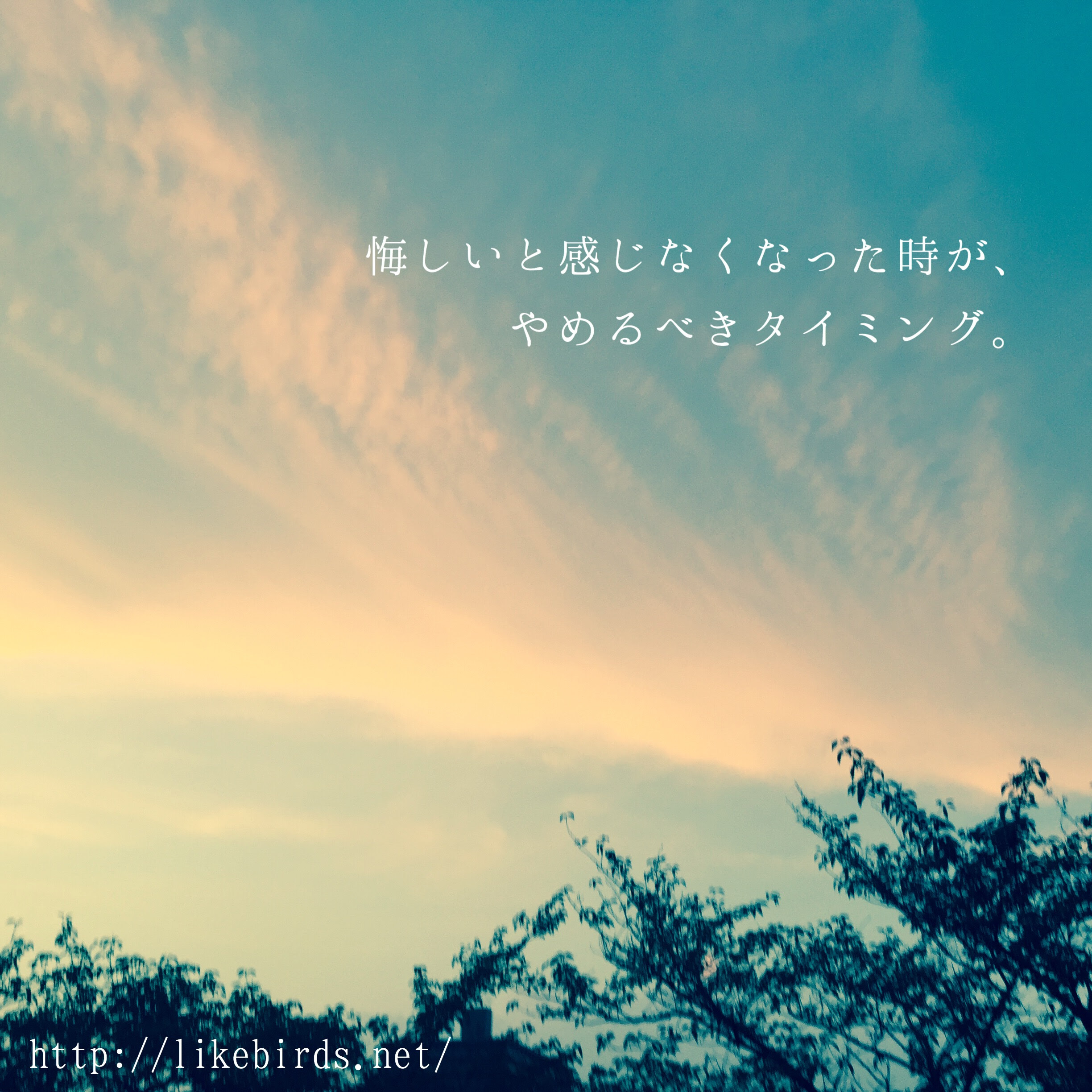 ライクバーズ 空の写真のフォトポエム