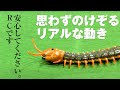 √完了しました！ ポケモ�� ムカデみたいな 239052-ポ��モン ムカデみたいなやつ