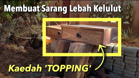 cara pindah sarang kelulut