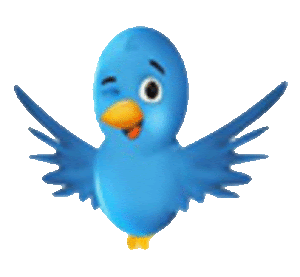  Burung  Animasi  ClipArt Best