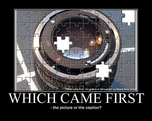 Which came first