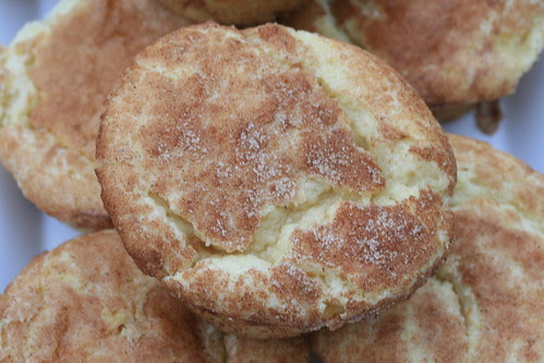 Food Librarian - Snickerdoodle Muffin