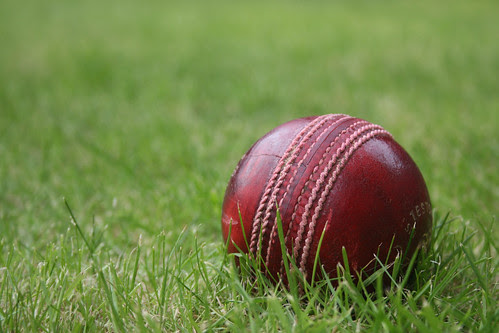cricket by dilbagkoundal