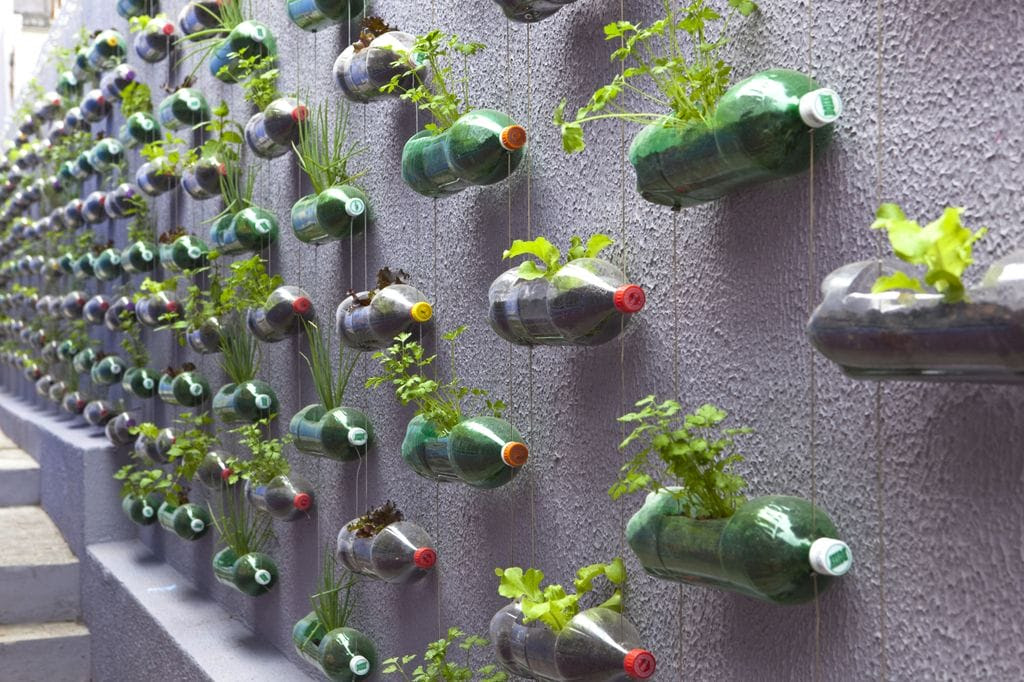 Urban Vertical Garden Built From Hundreds of Recycled Soda 