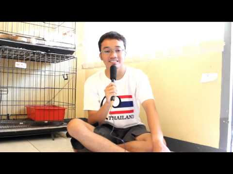 Video Harga Modal Jual Pulsa