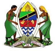 New Job Vacancy -  Data Qualiyt Officer ( Wizara Ya Afya)
