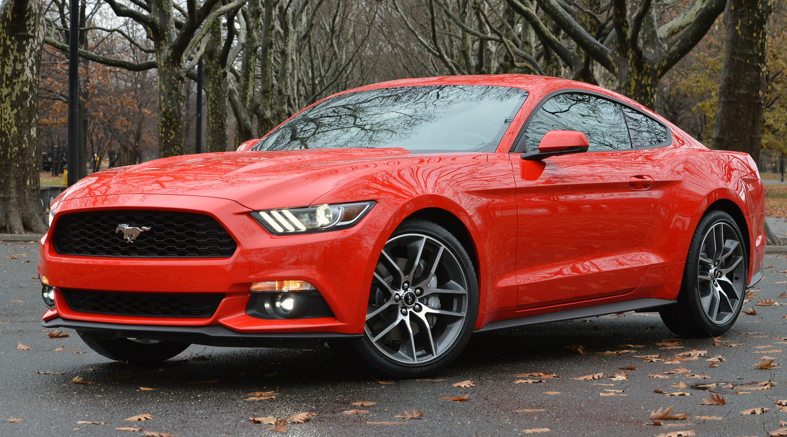 New 2015 \/ 2016 Ford Mustang For Sale CarGurus New 2015 \/ 2016 Ford Mustang For Sale CarGurus