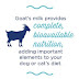Goat milk – why it’s so good for your dog or cat