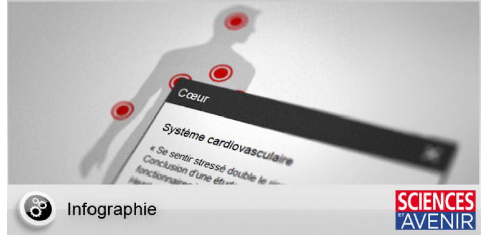 INFOGRAPHIE. Quels sont les effets du stress sur la santé ?