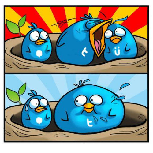 Twitter 与 第三方开发者