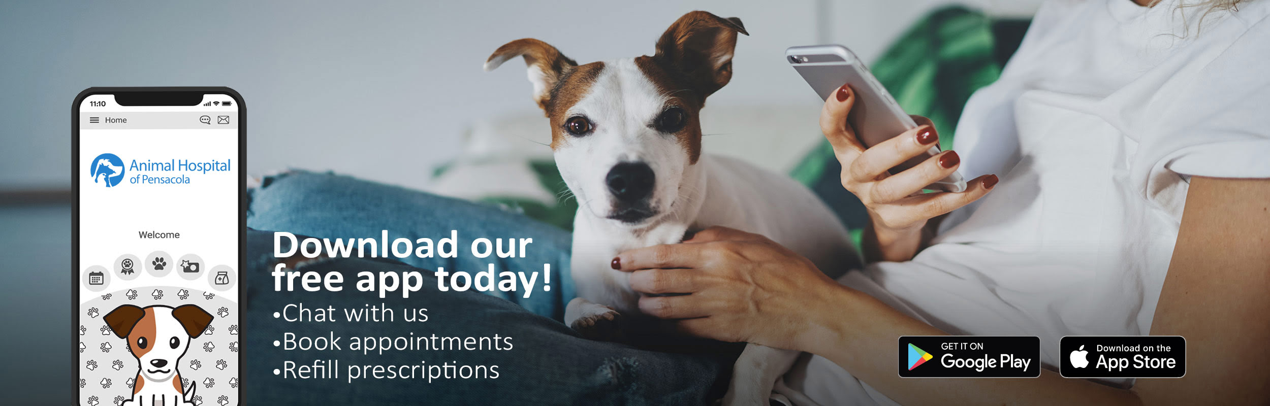 Animal Hospital of Pensacola - Veterinarian in Avenue Pensacola, FL