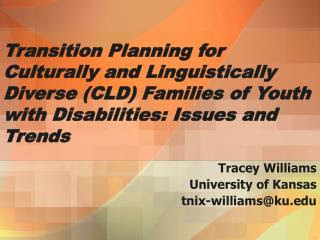 Culturally And Linguistically Diverse Family Violence