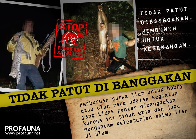 Berburu Satwa Liar Jenis Apapun Jika Tanpa Izin Itu Bisa Kena Pidana Profauna