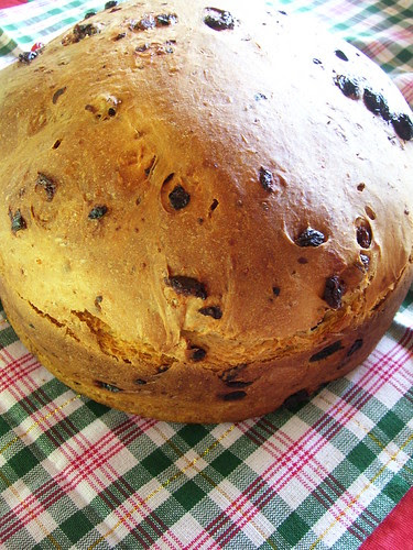 panettone (6)