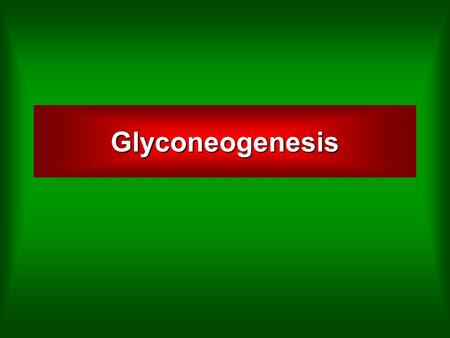 gluconeogenesis net gain (liver) Gluconeogenesis sugar Blood FoodGlycogen (liver) glucose