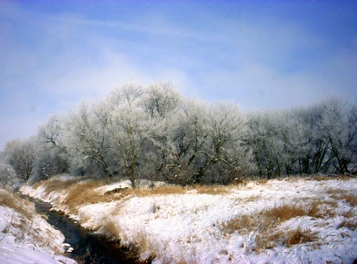 Frosted scene.