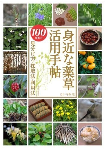 庭仕事の庭石テクニック 庭石の種類と選び方 石組 石積 飛石 敷石の基本がよくわかるタカサキ ヤスタカ高崎康隆 監修已读在线上