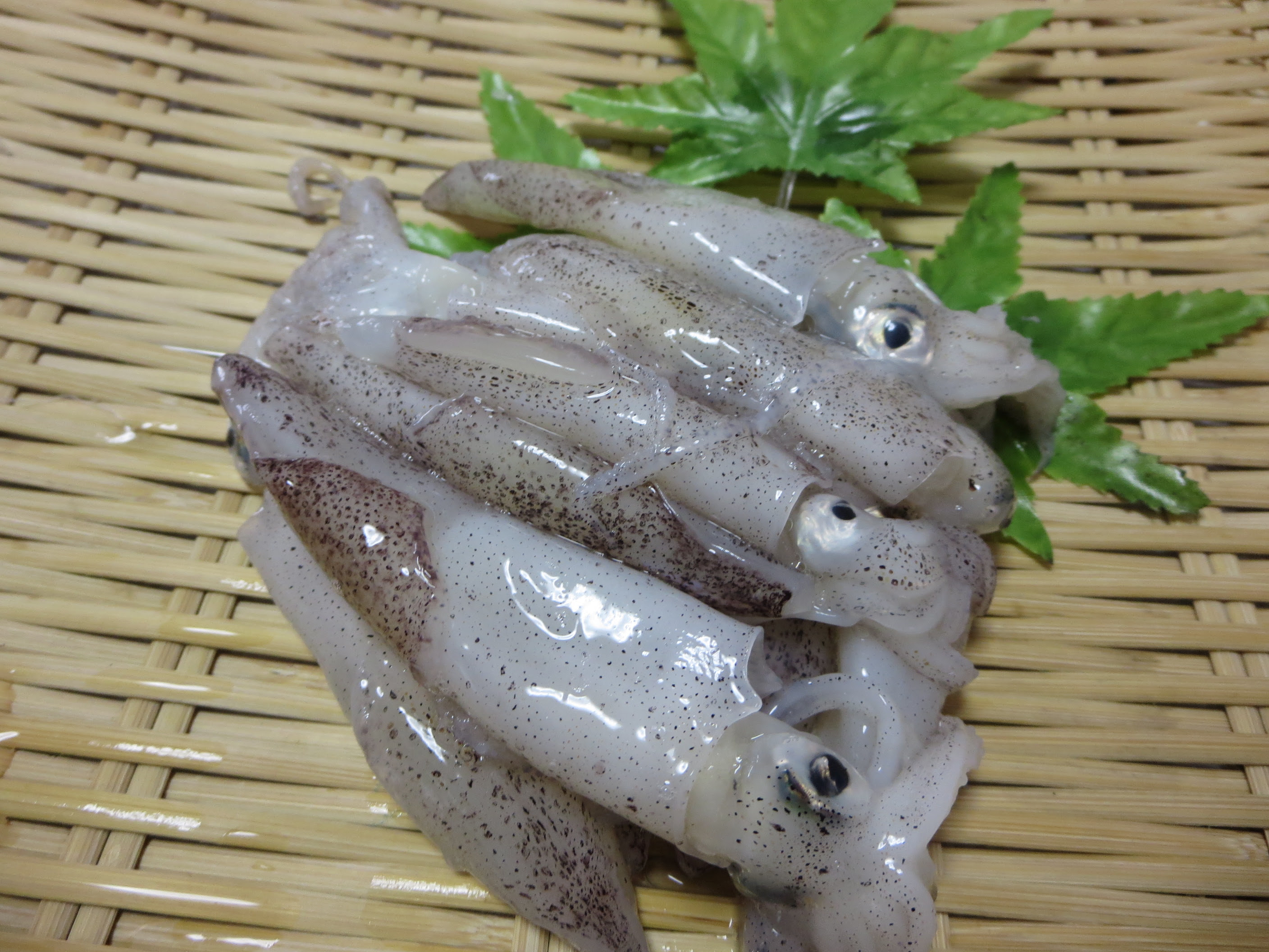 漁師さん直送市場 家庭用 鮮魚通販 漁師さんが今朝獲れた鮮魚を産地直送