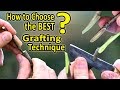 Grafting Techniques For Fruit Trees - Grafting Techniques For Fruit Trees Citrus Fruits And Vines How To Plant / This type of graft is accomplished by cutting a diagonal cut across both the scion and the rootstock, followed by a vertical cut parallel to the grain of the wood.