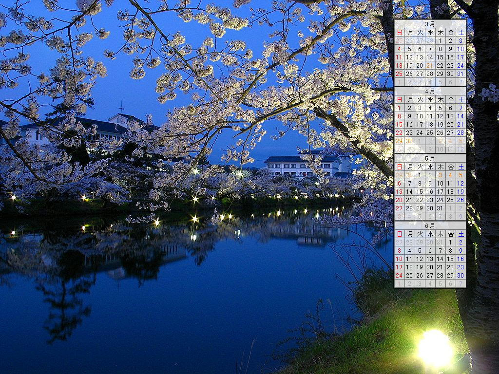 壁紙 夜桜 桜のライトアップ 07年無料壁紙カレンダー 07年3月 07年6月 兵庫と神戸の写真ブログ