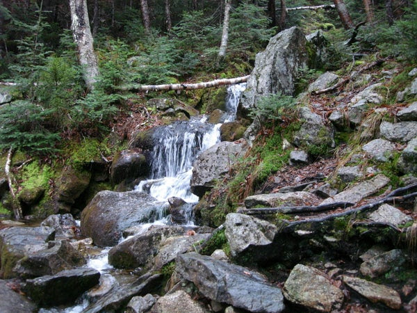 Zealand Falls Hut. severalzealand falls hut