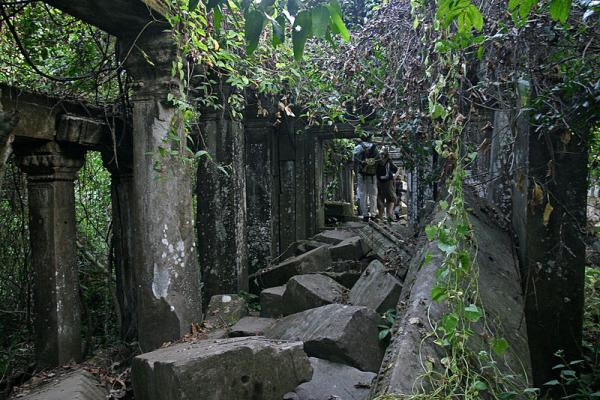 Scp 2932 Scp財団