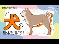 √画像をダウンロード 柴�� 犬 顔 イラスト 343832