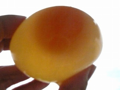 酢で卵の殻を溶かす自由研究の実験成功 動画つき ちびむすブログ