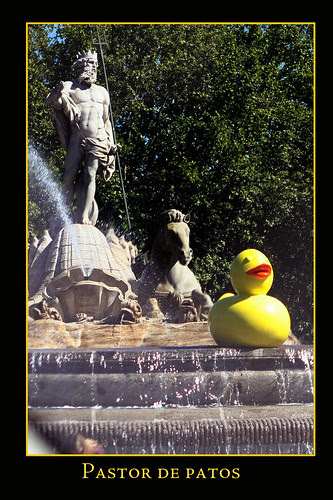 Patos en las fuentes