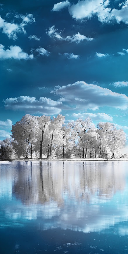 30 Beautiful Photos of Water Reflection