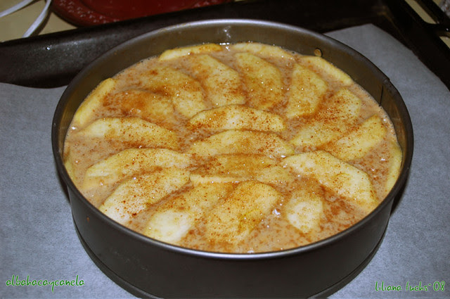 Autumn Apple Cake