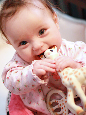 Jenna von Oy's Blog: The Teething Twilight Zone
