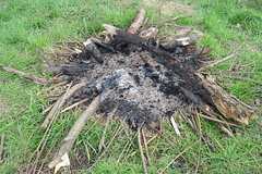 Aftermath of the travellers... #4