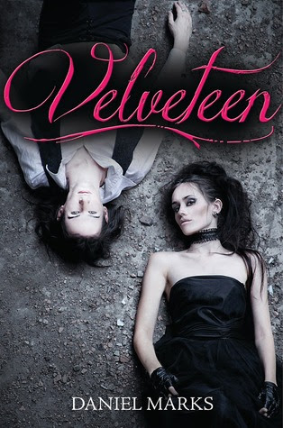 Velveteen (Velveteen, #1)