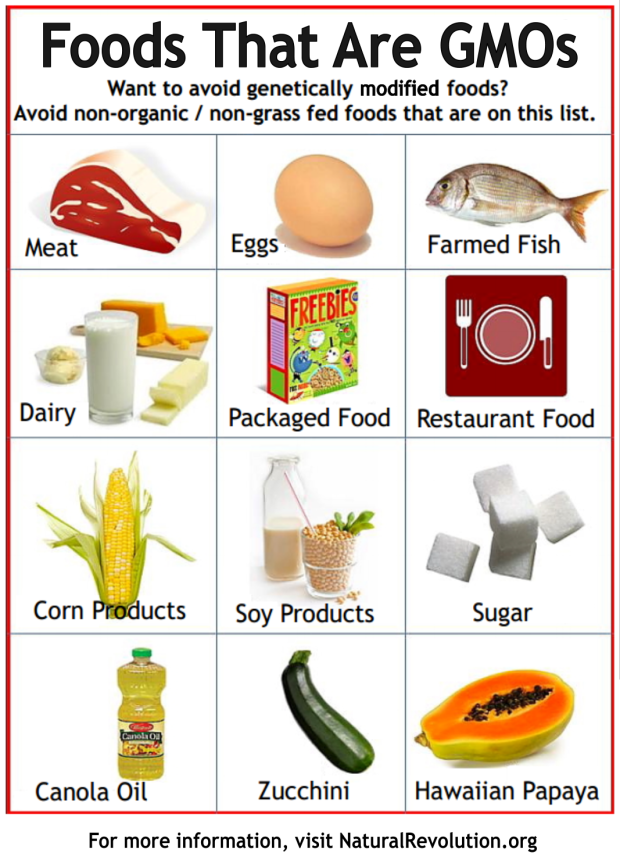 Half the European Union has opted out of growing GMOs - Why won't the U ...