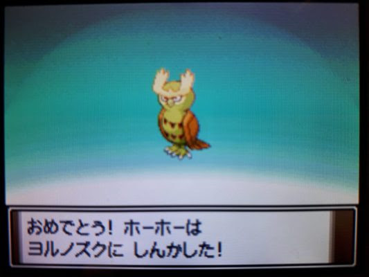 いろいろ ポケモン ホーホー 色違い ポケモンの壁紙