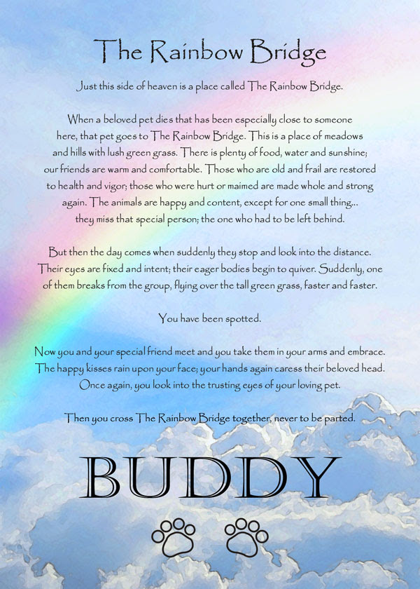 Rainbow Bridge Dog Loss Frame