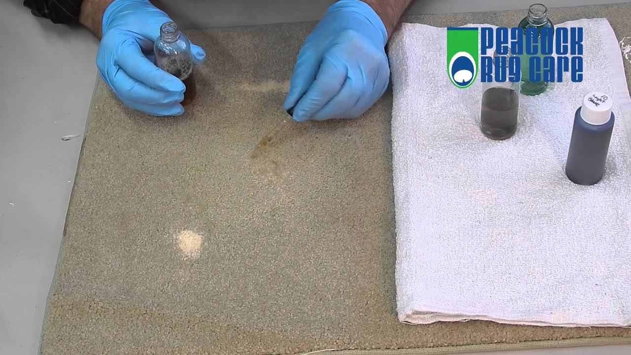 How to get Bleach out of Carpet Spot Removal Guide