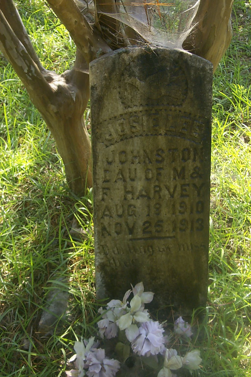 JOHNSTON, Josie Lee Harvey