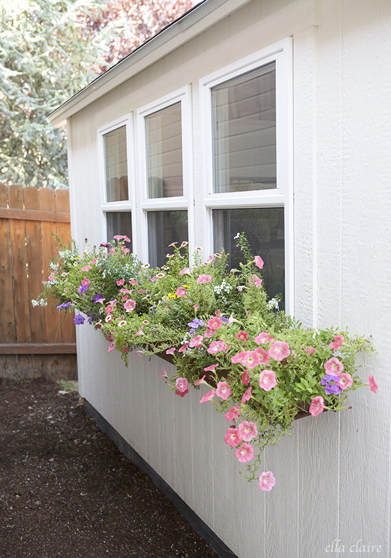 15 Front Yard Landscaping Ideas