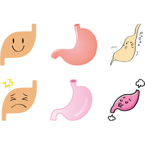 胃 Gahag 著作権フリー写真 イラスト素材集