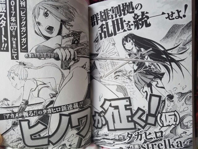 アカメが斬る 15巻 ゆる い日記