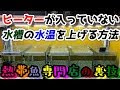 【ベストコレクション】 熱帯魚 ヒーター 温度が上がらない 855477-熱帯魚 ヒーター 温度が上がらない