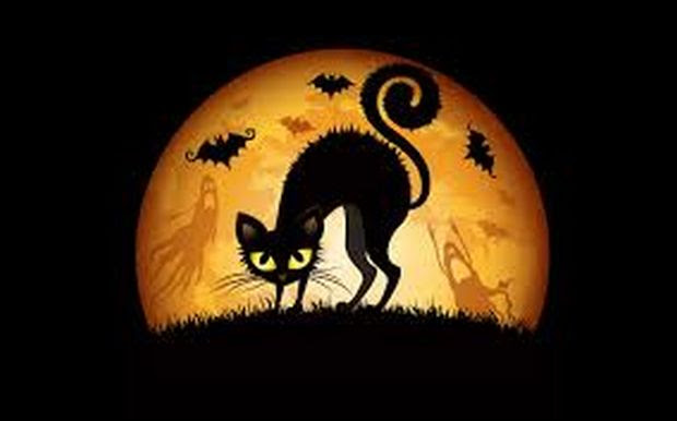 Muzică Pentru Pisici Playlist De Halloween Super Pisi