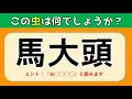 [最も欲しかった] 虫 読み方 3文字 345097-虫 読み方 3文字