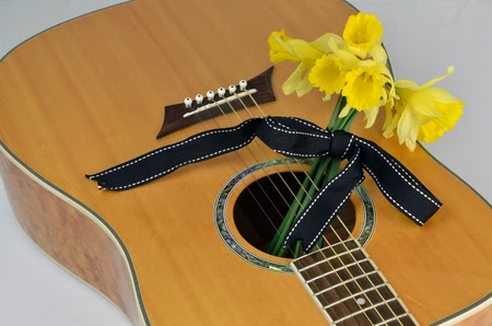 http://us.123rf.com/450wm/shellystuart/shellystuart1204/shellystuart120400012/13245107-narcissus-pseudonarcissus-daffodil-on-guitar.jpg