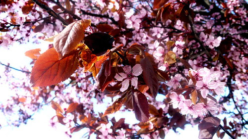 Spring 3