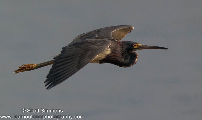 Photo & Video Sharing by SmugMug