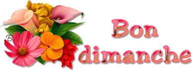 Bon Dimanche