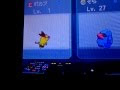 ポケモン ホワイト 交換方法 575846-ポケモン ホワイト 交換方法